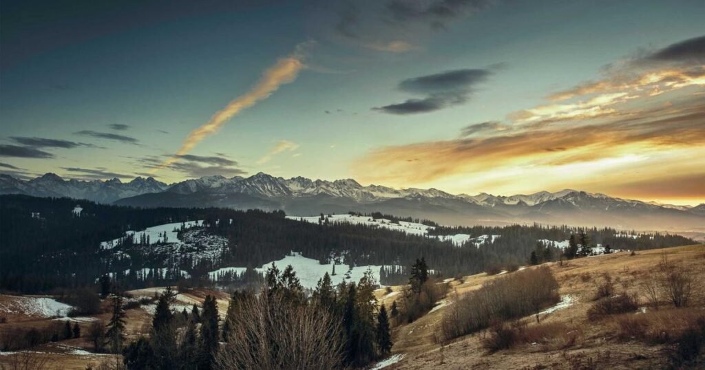 AI Tools for Small Business Automation picsum id: 547