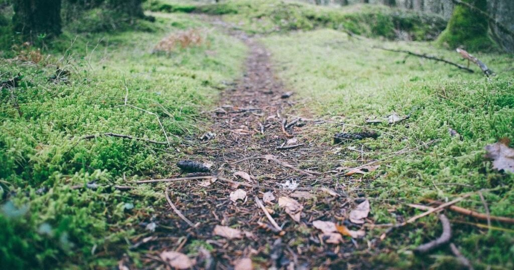 Best AI Video Generator Tools 2026 picsum id: 216