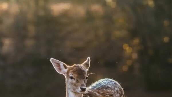 Claude AI vs ChatGPT for Coding test featured image